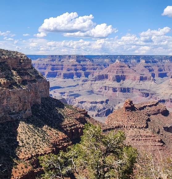 Meet your Posher, Christopher - Picture 5 of 6